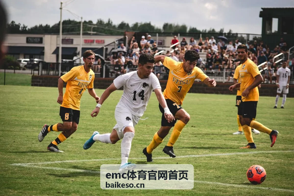 emc体育 跑步马拉松赛事资讯